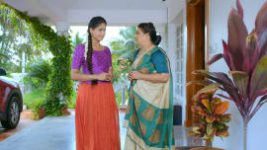 Paaru S01E591 25th March 2021 Full Episode