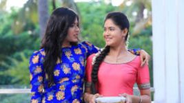 Paaru S01E632 20th May 2021 Full Episode