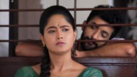 Paaru S01E637 27th May 2021 Full Episode