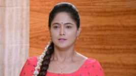 Paaru S01E696 11th August 2021 Full Episode