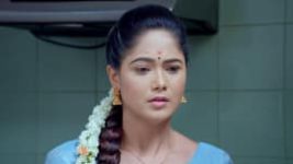 Paaru S01E723 17th September 2021 Full Episode