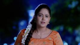 Paaru S01E75 15th March 2019 Full Episode