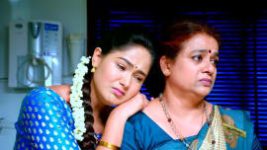 Paaru S01E774 3rd December 2021 Full Episode