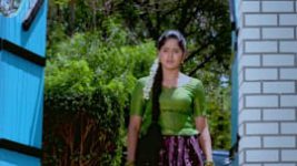 Paaru S01E78 20th March 2019 Full Episode