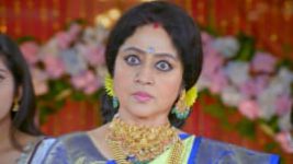 Paaru S01E785 20th December 2021 Full Episode