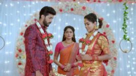 Paaru S01E786 21st December 2021 Full Episode