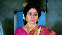 Paaru S01E794 31st December 2021 Full Episode