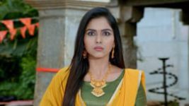 Paaru S01E795 3rd January 2022 Full Episode