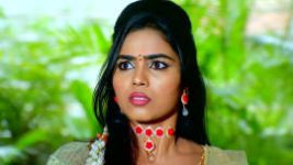 Paaru S01E800 10th January 2022 Full Episode