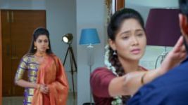 Paaru S01E804 14th January 2022 Full Episode