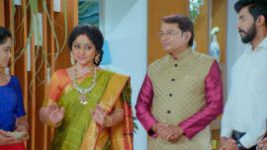 Paaru S01E805 17th January 2022 Full Episode