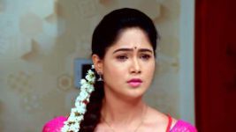 Paaru S01E811 25th January 2022 Full Episode