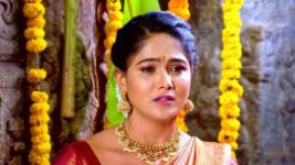 Paaru S01E816 1st February 2022 Full Episode