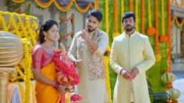Paaru S01E819 4th February 2022 Full Episode