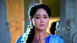 Paaru S01E847 12th March 2022 Full Episode
