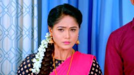 Paaru S01E851 15th March 2022 Full Episode