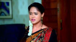 Paaru S01E954 29th July 2022 Full Episode