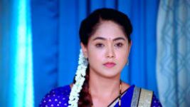 Paaru S01E975 29th August 2022 Full Episode