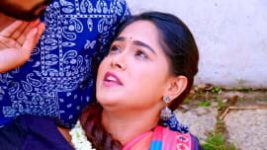 Paaru S01E977 31st August 2022 Full Episode