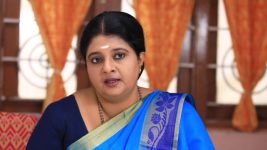 Paavam Ganesan S01E302 Sornam Is Irked Full Episode