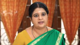 Paavam Ganesan S01E309 Sornam Rebufs Guna Full Episode