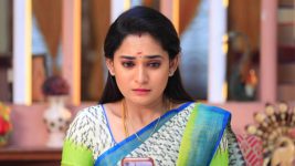 Paavam Ganesan S01E321 Priya Is Worried Full Episode