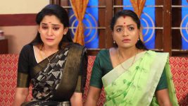 Paavam Ganesan S01E327 Priya, Chithra Feel Shattered Full Episode