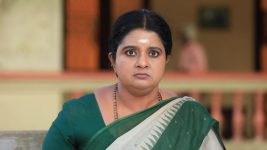 Paavam Ganesan S01E332 Sornam Stays Stubborn Full Episode