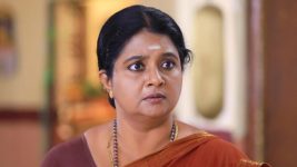 Paavam Ganesan S01E341 Guna Surprises Sornam Full Episode