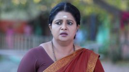 Paavam Ganesan S01E344 Sornam Is Worried Full Episode