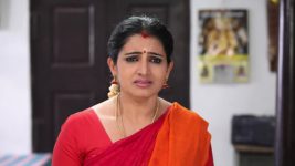 Pandian Stores S01E10 Dhanam Is Heartbroken Full Episode