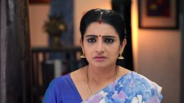 Pandian Stores S01E101 Mulla Snaps at Dhanam Full Episode