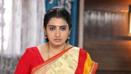 Pandian Stores S01E38 Dhanam Faces Humiliation Full Episode