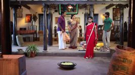 Pandian Stores S01E81 Jeeva Apologises to Mulla Full Episode