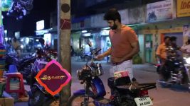 Pandian Stores S01E94 A Surprise for Meena Full Episode