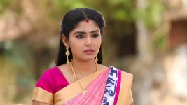 Pandian Stores S01E94 A Surprise for Meena Full Episode