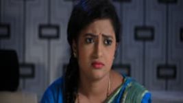 Pattedari Prathiba S01E164 22nd November 2017 Full Episode