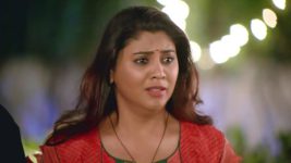 Prema Tujha Rang Kasa S01E101 Crooked Politician Full Episode