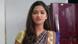 Prema Tujha Rang Kasa S01E103 Sister-in-law Or Foe Full Episode