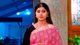 Puttakkana Makkalu S01 E250 8th November 2022