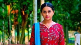 Puttakkana Makkalu S01 E251 9th November 2022