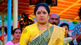Puttakkana Makkalu S01 E252 10th November 2022