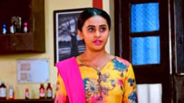 Puttakkana Makkalu S01 E256 16th November 2022