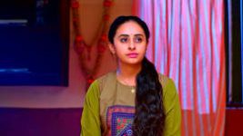 Puttakkana Makkalu S01 E257 17th November 2022