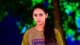 Puttakkana Makkalu S01 E259 21st November 2022