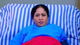 Puttakkana Makkalu S01E134 7th June 2022 Full Episode