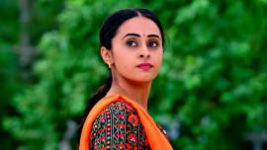 Puttakkana Makkalu S01E196 1st September 2022 Full Episode