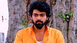 Puttakkana Makkalu S01E245 1st November 2022 Full Episode