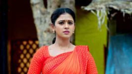 Puttakkana Makkalu S01E38 2nd February 2022 Full Episode