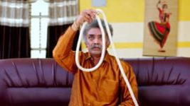 Puttakkana Makkalu S01E46 14th February 2022 Full Episode